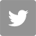 twitter icon
